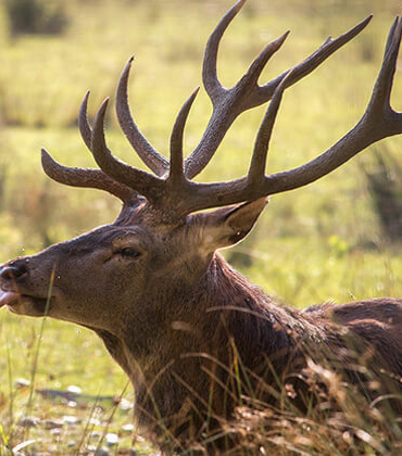 “Slovakya’ya neden gitmedim” dedirten 12 fotoğraf
