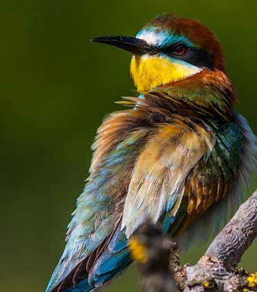 Balıkçının oltasına takıldı! Görenler gözlerine inanamadı…