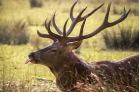 Deprem sırasında kayalar koptu, toz bulutu yükseldi