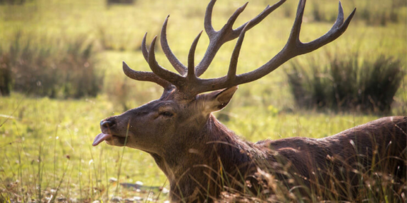 Deprem sırasında kayalar koptu, toz bulutu yükseldi