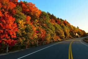 Eski nişanlısını öldürdü, 300 kilometre bagajda taşıdı