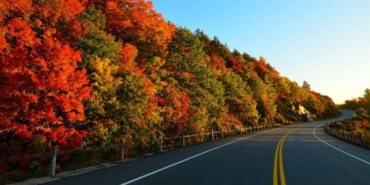 Eski nişanlısını öldürdü, 300 kilometre bagajda taşıdı