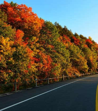 Eski nişanlısını öldürdü, 300 kilometre bagajda taşıdı