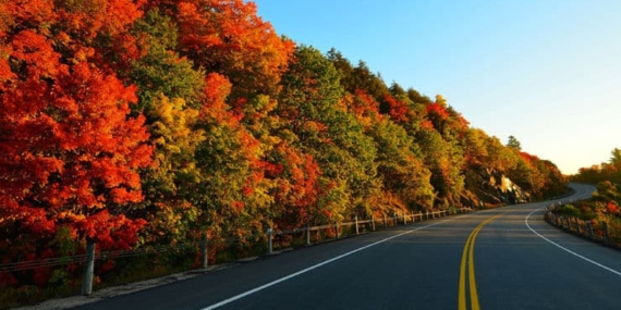 Eski nişanlısını öldürdü, 300 kilometre bagajda taşıdı