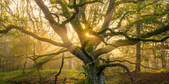 İkinci dalganın yaşandığı Bursa’da ölüm rakamları arttı