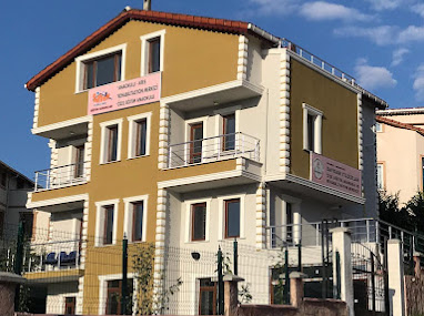 ÖZEL SAYDAM YILDIZLAR ÖZEL EĞİTİM ANAOKULU Özel Öğretim Kurumları