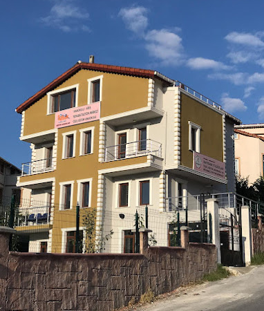 saydam yıldızlar özel eğitim anaokulu