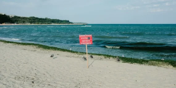 Beykoz’da Karadeniz kıyılarında denize girme yasağı 2 gün sürecek
